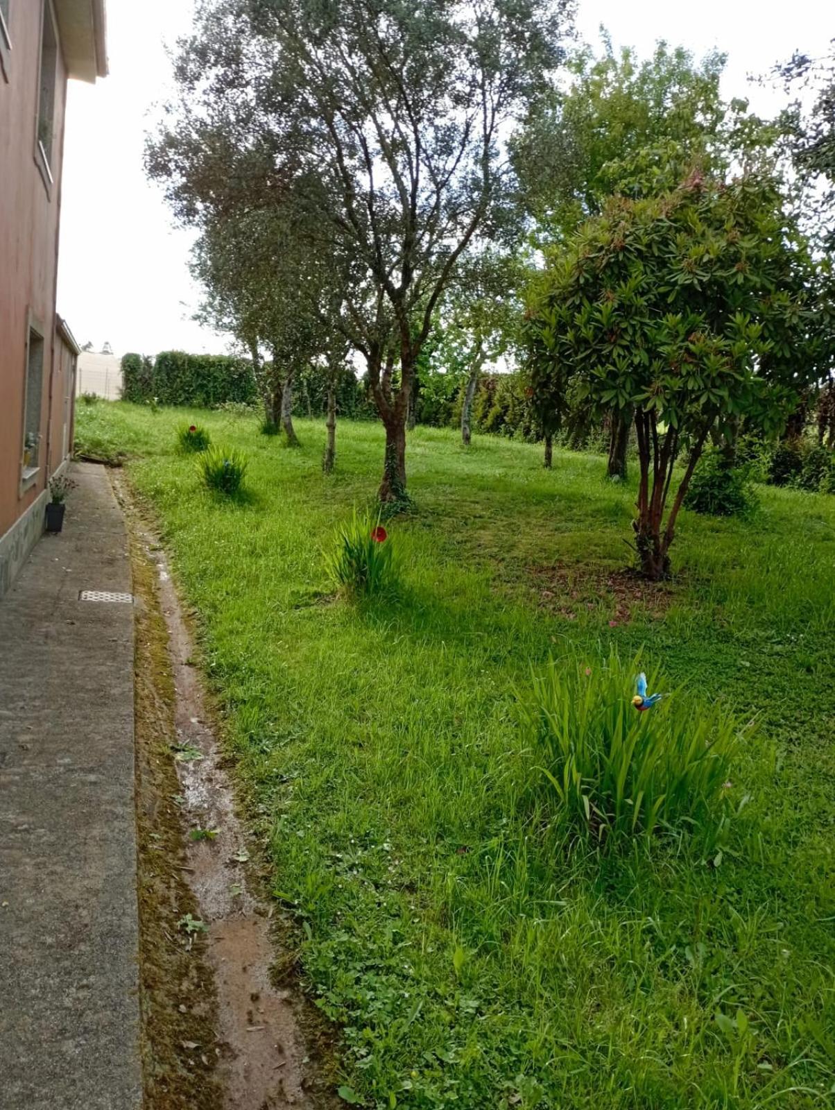 A Casa Do San Paio De Buscas Apartamento Ordes Exterior foto