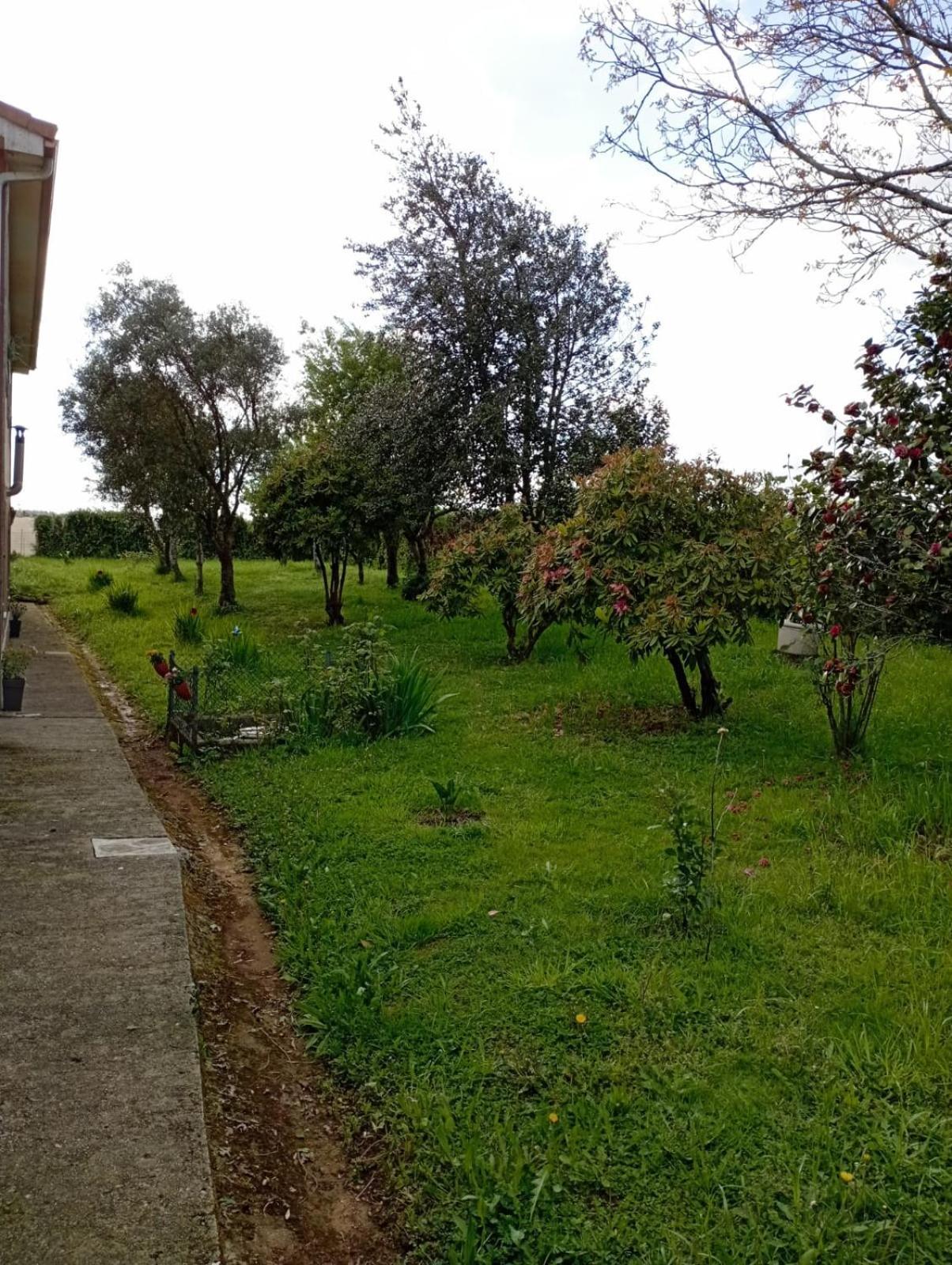 A Casa Do San Paio De Buscas Apartamento Ordes Exterior foto